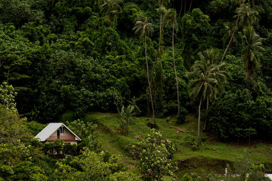 Green lush tropical paradise with little small house church on the mountain in Tahiti
