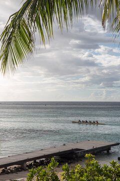 Traditional Tahitian rowers over the ocean rowing a boat at sunset with a palm tree