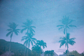 Artistic pattern of a reflection of palm trees in the tropical blue water