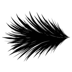 Feather Icon Illustration. Vector SVG