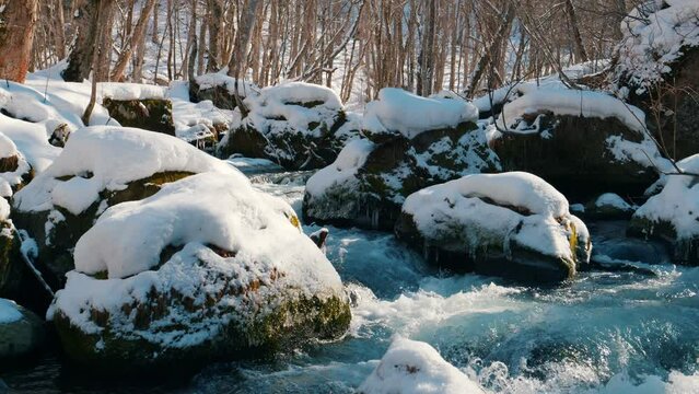 雪が積もった冬の川　青森県　奥入瀬渓流