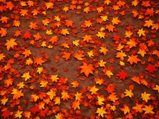 Fototapeta premium autumn leaves background