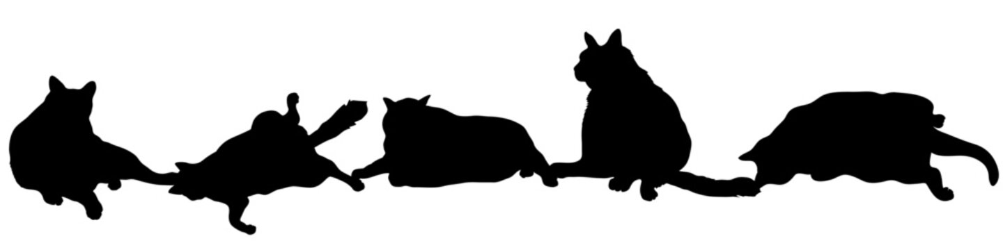 Set of five black cats vector illustrations - silhouettes of the cats isolated on white background-5匹の並んだ黒猫のベクター素材	