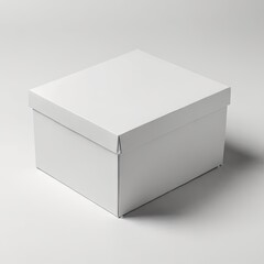 Mock-up white box on white background