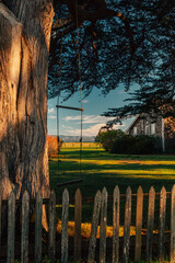 old rope swing hanging from tree behind picket fence, residential area with green grass