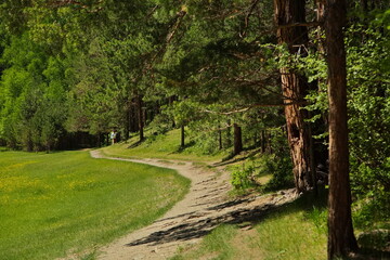 In the remote Siberian taiga near Lake Baikal.