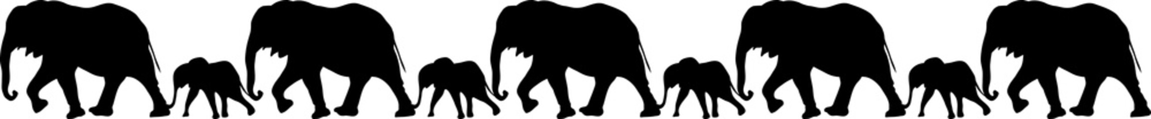 Nine black elephants family in line illustrations - silhouettes of the 9 elephants isolated on white background- 9匹の並んだゾウの親子のイラスト