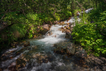 The sources of the Alibek River flowing down from the mountain slopes of the North Caucasus on the...