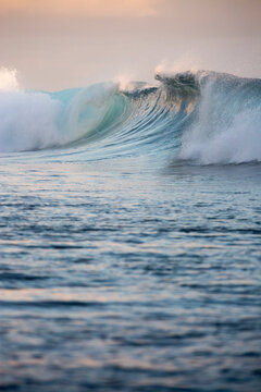 Blue and golden waves on the ocean at sunset in Tahiti ready for surfer