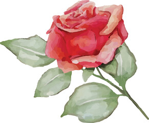 Obraz premium Digital png illustration of red rose with green leaves on transparent background