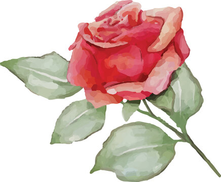 Digital png illustration of red rose with green leaves on transparent background