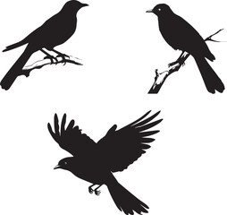 Cuckoo bird vector silhouettes on white background