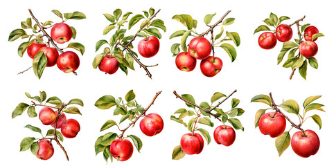 Apple branch in watercolor illustration clipart. Generative AI