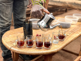 Pouring Arabica Coffee into Glass Mugs for Taste Testing