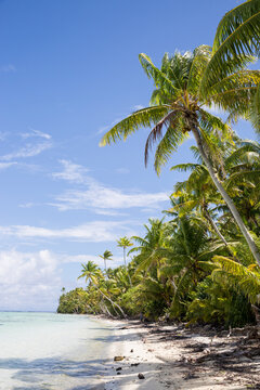 A remote island in a tropical paradise with bright white sand on the beach