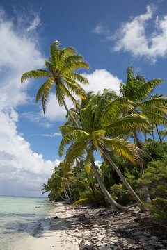 A tropical beach in Tahiti on a remote island with crystal clear waters 
