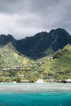 Stunning tropical beach landscape with lush leaves in Tahiti   on the ocean