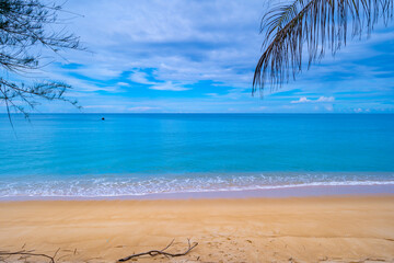 Tropical sea in Phuket thailand,Beautiful sea beach with coconut palm trees on the beach,Phuket island Thailand