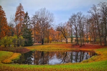 autumn in the park
