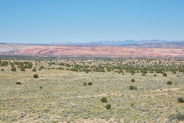 The extraordinary White Pocket in northern Arizona is one of the world's most unique geologic...