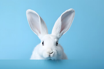 Obraz premium White rabbit on pastel blue background. Happy Easter Day.