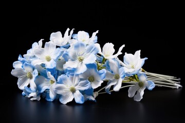 A bundle of blue and white flowers