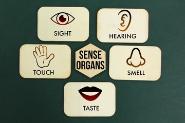 Wooden with five Sense organs icons namely sight, hearing, smell, teste and touch. basic 5 human...