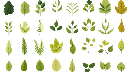 Green leaf icon, set of leaf icons on isolated background. Collection of green leaves on transparent background. Isolated.