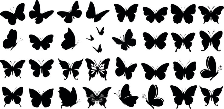 L'ensemble d'illustrations vectorielles de silhouettes de papillons présente une collection de silhouettes de papillons, les papillons sont parfaits pour les arrière-plans, les motifs et les designs. 