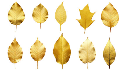 Set of images of luxurious golden leaves isolated on white background. Perfect for holiday...