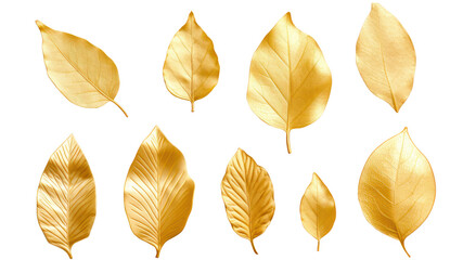 Set of images of luxurious golden leaves isolated on white background. Perfect for holiday decorations, greeting cards, brochures or posters. On a transparent background. Isolated.