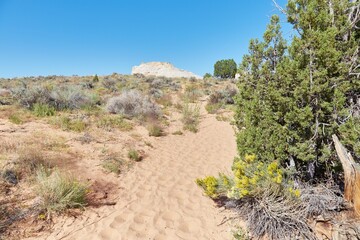 The extraordinary White Pocket in northern Arizona is one of the world's most unique geologic...