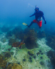 snorkeling trip at Samaesan Thailand. men dive underwater with turtles in the coral reef sea pool. Travel lifestyle, watersport adventure, swim activity on a summer beach holiday 