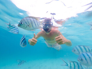 young men at a snorkeling trip in Samaesan Thailand dive underwater with fishes in the coral reef...