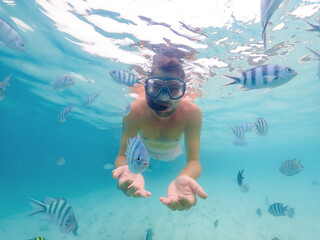 close up of young men at a snorkeling trip in Samaesan Thailand diving underwater with fishes in...