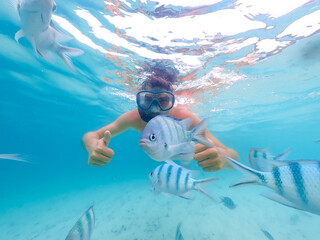 young men at a snorkeling trip in Samaesan Thailand dive underwater with fishes in the coral reef 
