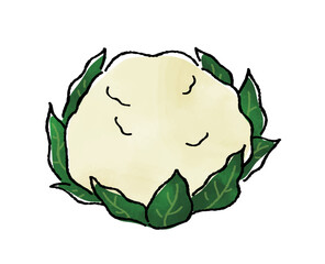 カリフラワー