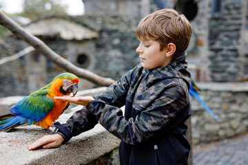 Gorgeous school kid boy feeding parrots in zoological garden. Child playing and feed trusting friendly birds in zoo and wildlife park. Children learning about wildlife and parrot.