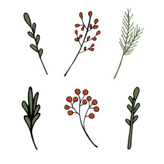 Christmas plant leaf, flower set. Hand drawn doodle sketch holly floral, Christmas tree leaves, winter branch elements. Holiday decoration, rustic wreath sketch doodle. Vector illustration doodle flat