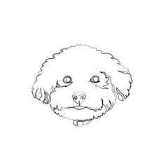 Cute poodle dog face, continuous line drawing, puppy head pet small mini tattoo, print for clothes, silhouette one single line on white background, isolated vector illustration.