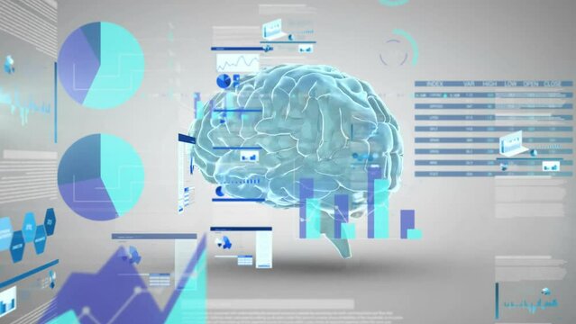 Animation of data processing over human brain on grey background