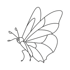 Butterfly  single continuous one line out line vector art  drawing  and tattoo design