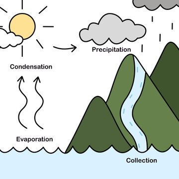 Water cycle infographic with cartoon design. Vector. Illustration. Easy to learning. Ecosystem