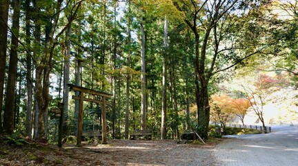 【和歌山】熊野古道（中辺路）