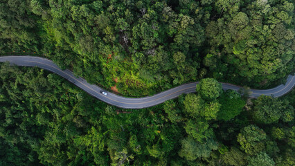 Aerial view of a road in the middle of the forest , road curve construction up to mountain - Powered by Adobe