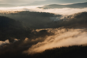 Morning fog spreads over the tops of the forest, dawn in the mountains