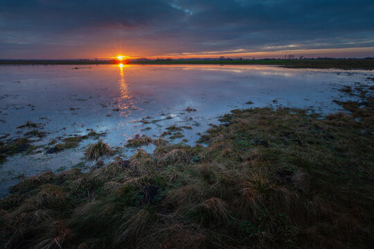 Sunset over a wet meadow