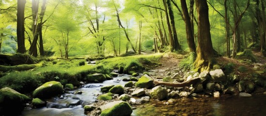 Obraz premium serene landscape of a lush green forest, with mountains as a majestic backdrop, a beautiful spring day unfolds, enveloping the park in natural beauty. The sound of flowing water from a nearby stream