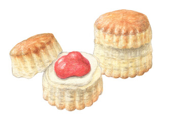 イングリッシュスコーン　水彩色鉛筆イラスト