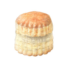 イングリッシュスコーン　水彩色鉛筆イラスト